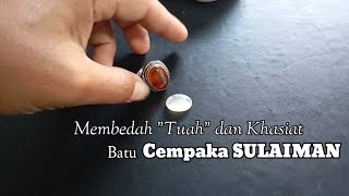 Membedah rahasia ampkhasiat BATU Cempaka SULAIMAN apa kelebihanya [upl. by Mulligan721]