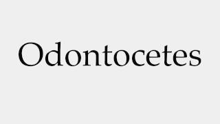 How to Pronounce Odontocetes [upl. by Gelb]