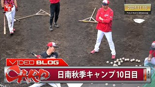 【カープ】日南秋季キャンプ10日目。新井監督「俺は人生で一回もウソをついたことはない」（2024年11月15日） [upl. by Hezekiah876]