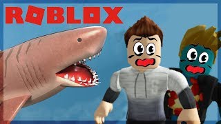 LE MÉGALODON EST LE MEILLEUR REQUIN  ROBLOX SHARKBITE [upl. by Etnahsa]