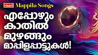 MAPPILA SONGS  Malayalam Mappila Songs  Nisari Mappila Pattukal  Pazhayamappila Songs [upl. by Sussman185]