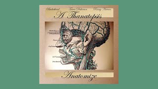 Full Album Anatomize  Thanatopsis Buckethead Travis Dickerson [upl. by Hitoshi]