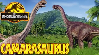 What was the Camarasaurus  The Dinosaur Channel [upl. by Anaiuq]