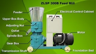 Pellet feed mill makes nourishing pellets feed making your animal healthier [upl. by Angy]