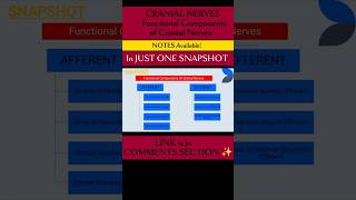 CRANIAL NERVES l Functional Components ✨ brainanatomy cranialnerves physiotherapyeducation neuro [upl. by Erde]