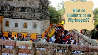 Eleven Things to do at Buddhist Pilgrimage  Buddhist Pilgrimage Sites [upl. by Mrots680]