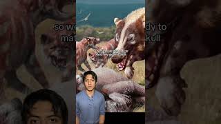 The Mystery of Andrewsarchus prehistoric animal nature wildlife horror [upl. by Stempien]