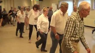 JAMAICA FAREWELL Line Dance Ira Weisburd Nuenen Netherlands 2016 [upl. by Aivan]