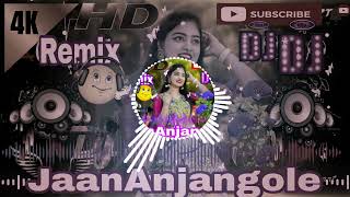 Dj tamang new song yala maya sankalu pooja tamang sanjiv ghising remix by jaanAnjangole [upl. by Elohcim]