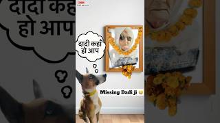 We All Miss You Dadi ji 😭  minivlog [upl. by Alcock380]