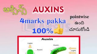 Auxinsఆక్సిన్స్  Important question inter Bipc plant Growth reguletars [upl. by Cutlerr]