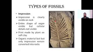 Process of Plant Fossilization and Types of Fossils Unit I Paleobotany BSc Semester II SGBAU [upl. by Amann784]