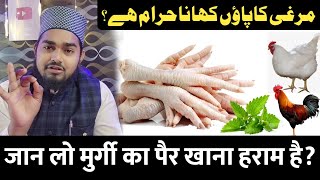 Murgi Ka Panja Khana Haram Kyu Hai  Maulana Afzal Qadri [upl. by Enoyrt]