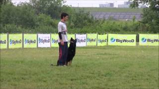 2011年WUSV選考会 － 服従95点 [upl. by Assen412]