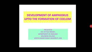 DEVELOPMENT IN AMPHIOXUS UPTO COELOM [upl. by Eiahpets545]