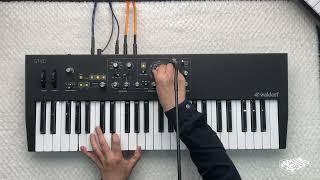 WALDORF STVCTRYING THE VOCODER  HiFans [upl. by Dorsey]