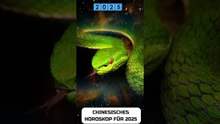 Schlange Chinese Horoscope 2025 [upl. by Bodrogi]