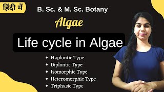 TYPES OF LIFECYCLE IN ALGAE  in Hindi  Botany  B Sc amp M Sc [upl. by Towny]