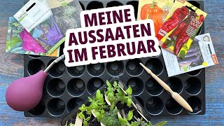 Was kann man im Februar säen Tipps und Tricks für die Aussaat im Frühjahr [upl. by Nitsrek]