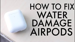 How To FIX AirPods Water Damage [upl. by Nomrej]