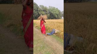 Anita Rajendrashorts shortsvideo shortsfeed youtubeshorts [upl. by Lukin]