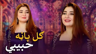 Gul Panra Mast Pashto Song  Habibi  حبیبي مسته پښتو سندره  ګل پاڼه [upl. by Anoyk]