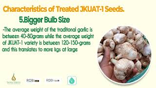 Treated Garlic Seeds [upl. by Odey]