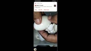 Aiby Gomez vlog is live WHITE DUCK EGG CRACKING PEELING YUMMY trending viralvideo [upl. by Drwde616]