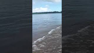 Canales de Tortuguero shorts turismo music travel nature [upl. by Oleta]