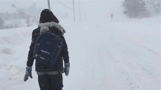 Dr Debbie Gowan treks to the hospital in Fredericton in the blizzard [upl. by Analrahc793]