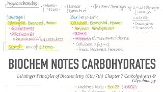 1001 Notes 📒 Ch 7 Carbohydrates amp Glycobiology 📝 Lehninger Principles of Biochemistry 6th7th Note [upl. by Rowena668]