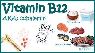 Vitamin B12  Cobalamin  Vitamin B12 Deficiency  Causes Symptoms amp Diagnosis of B12 Deficiency [upl. by Allenrad]