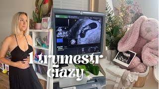 Pierwszy trymestr ciążytydzień po tygodniu 💕 pierwsze objawy ciąży🤕 badania prenatalne test Pappa [upl. by Pradeep]