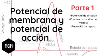 Potencial de membrana y potencial de acción Parte I  Medicina con Moore [upl. by Gherardi]