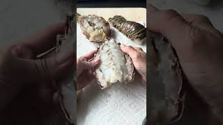 How to Grill Lobster Tails [upl. by Eimmat194]