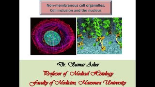 Non membranous cell organelles [upl. by Andel]