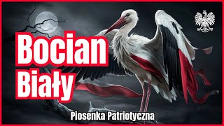 PIOSENKA BOCIAN BIAŁY  patriotyczna piosenka rockowa patriotyzm wojsko żołnierze [upl. by Mossolb968]