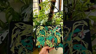 Painting Monstera livepaint illustration monsteraplant sketchbook paintwithme [upl. by Curkell]