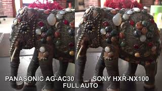 PANASONIC AGAC30 vs SONY HXRNX100 [upl. by Gaither506]