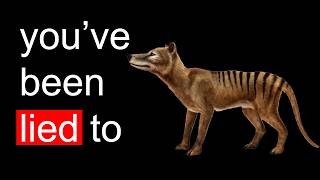 The REAL reason The Tasmanian Tiger Went Extinct [upl. by Blus365]