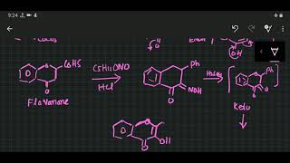 Flavonol [upl. by Aliehs]