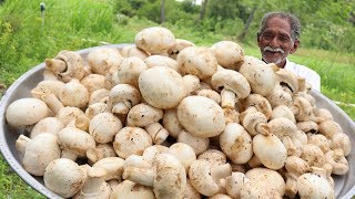 Mushroom Biryani Recipe  Delicious Mushroom Recipe by Grandpa [upl. by Annaes]