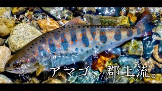 達人ひしめく郡上の技に迫る・谷の妖精 アマゴの渓流釣り【エサ釣り】～ Beautiful mountain stream fishing in Japan [upl. by Eicram]