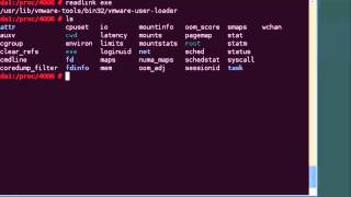 Understanding Linux processes within slash proc [upl. by Aivull425]