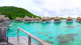 OVERWATER BUNGALOW TOUR Sofitel Moorea Ia Ora Beach Resort in 4K ULTRA HD [upl. by Odelle]