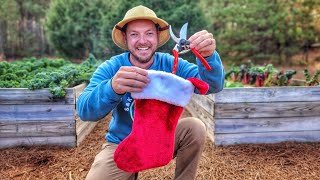 Top 10 Gift Ideas For Gardeners [upl. by Cogn91]