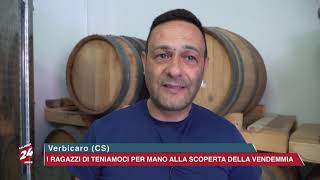 Verbicaro CS I Ragazzi di Teniamoci per Mano alla Scoperta della Vendemmia [upl. by Flanders]