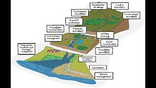 Grade 12 Geography Catchment Area amp River Management [upl. by Annoya232]