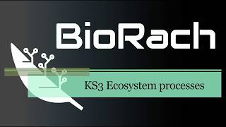 KS3 Biology  Ecosystem processes OVERVIEW Activate 2 B2 [upl. by Aivon442]