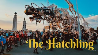 The Hatchling  Plymouth 2021  Giant dragon puppet  Pisklę smoka symbol wolności [upl. by Zanlog]